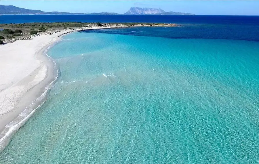 Villa Ibiza Privata In San Teodoro Vista Mare Porto Ottiolu 0*,  Italia