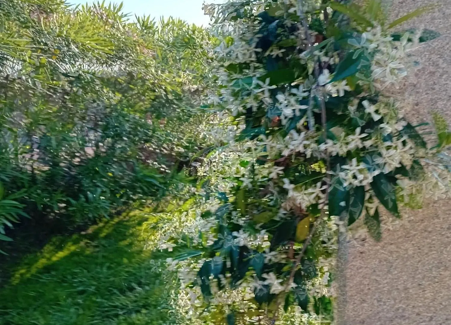Villa Ibiza Privata In San Teodoro Vista Mare Porto Ottiolu